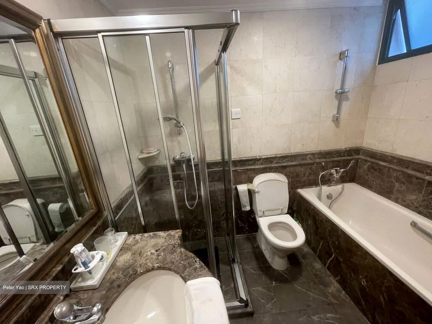 Parc Palais (D21), Condominium #627414521
